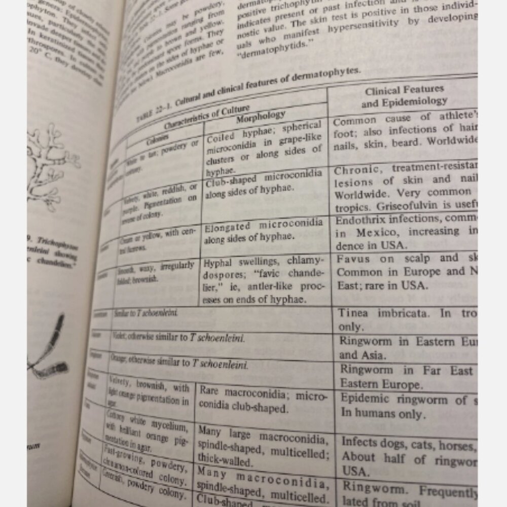Review Of Medical Microbiology Edition 10 Ernest Jawetz - Picture 6 of 7